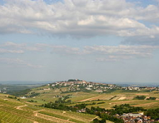 Marche  La Petite Sancerroise